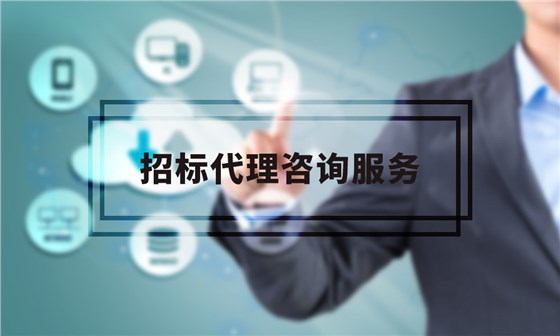 招标代理服务