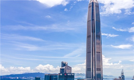 全过程咨询