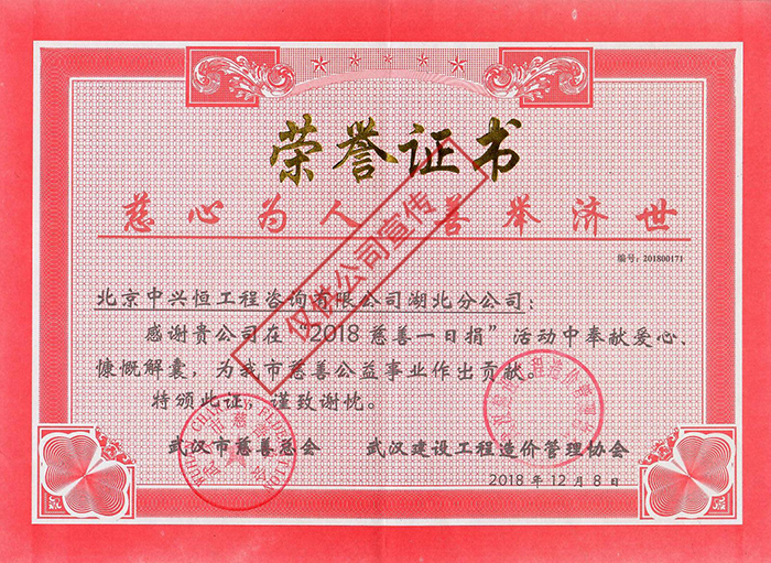 武汉分公司荣誉证书