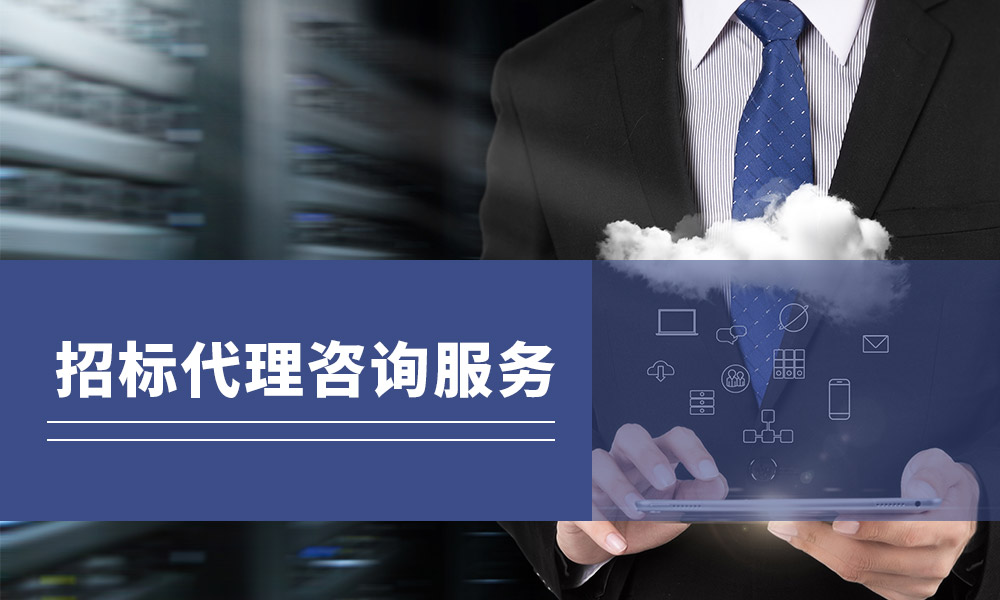 招标代理咨询服务