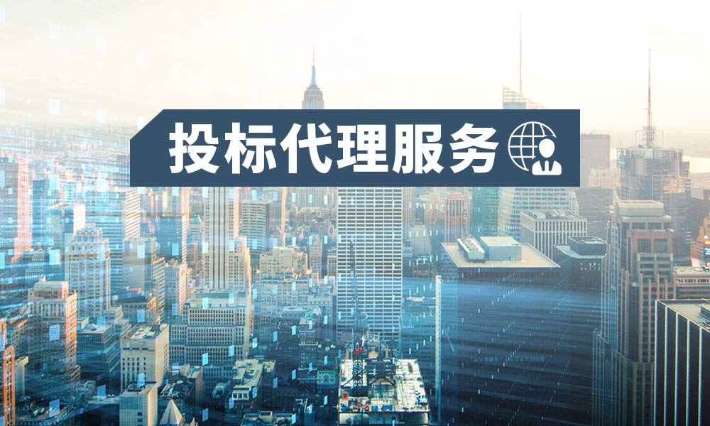 投标代理服务